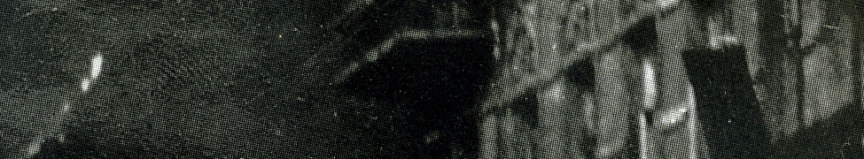 NOMO — Photo