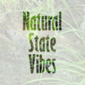 Natural State Vibes image