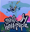Shitty Halfpipe image