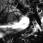 【レアCD】MORDOR / Csejthe Csejthe | Mordor