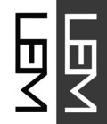 LEM image