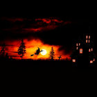 neschner thumbnail