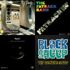Try Counting Sheep | Black Sheep | MR BONGO