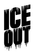 Ice Out image