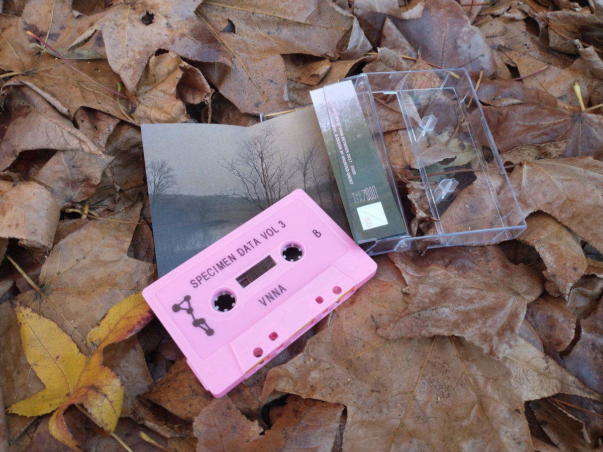 SSR023: Specimen Data Vol 3 - VNNA | Special Species Records