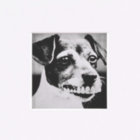 Asher thumbnail