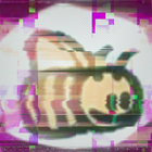 Chris Reuter thumbnail