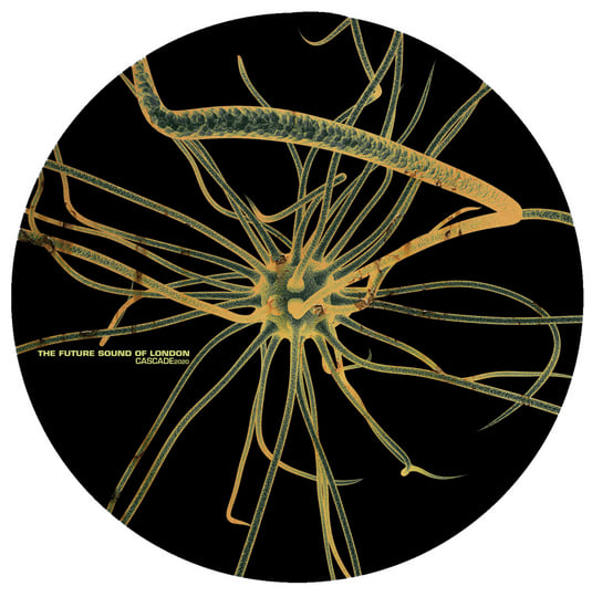 Cascade 2020 | The Future Sound Of London | THE FUTURE SOUND OF LONDON