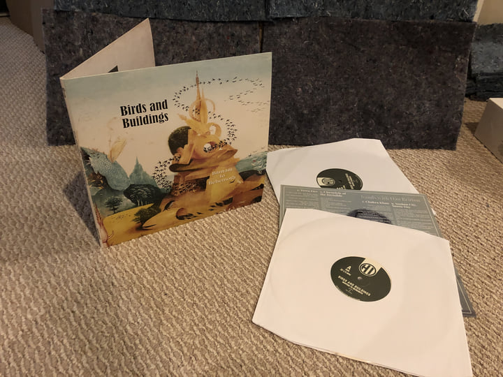 Bantam to Behemoth | Birds and Buildings
