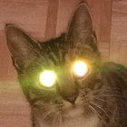 fjustank thumbnail