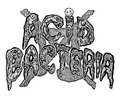 Acid Bacteria image