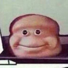 human_max thumbnail