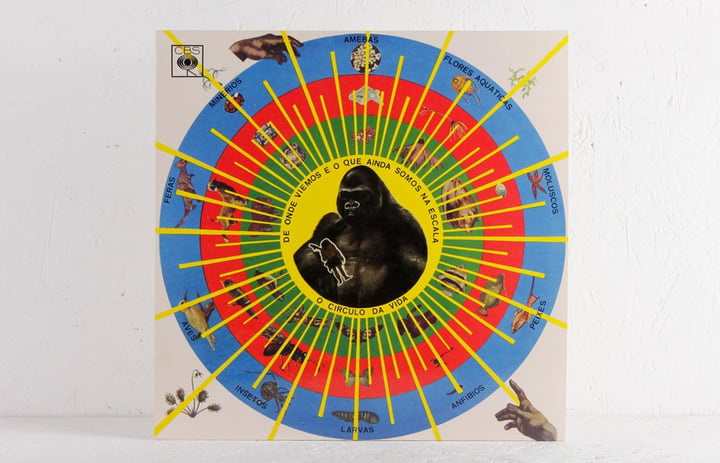 Pedro Santos – Krishnanda Krishnanda | Pedro Santos | MR BONGO