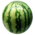 Walter_Melon thumbnail