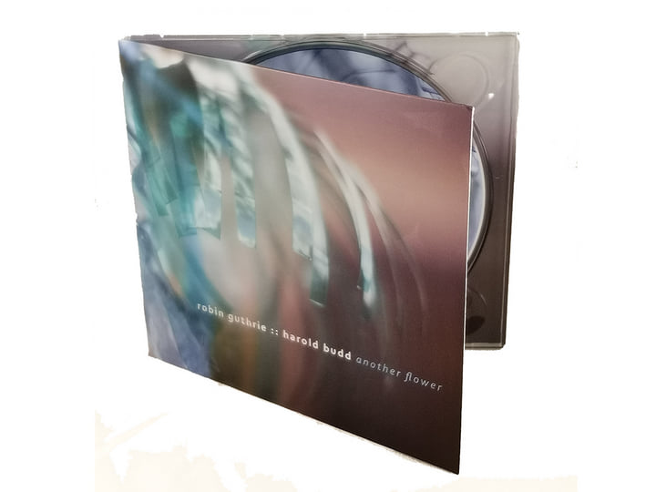 洋楽 harold budd /winter garden Winter Garden [Album] | Eraldo Bernocchi, Harold Budd, Robin