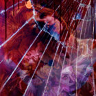 Nathaniel Shannon thumbnail