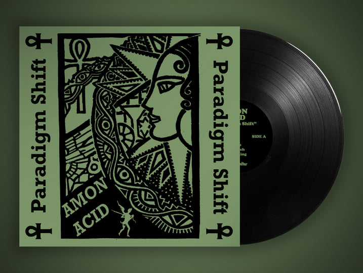 Paradigm Shift | Amon Acid | Regain Records