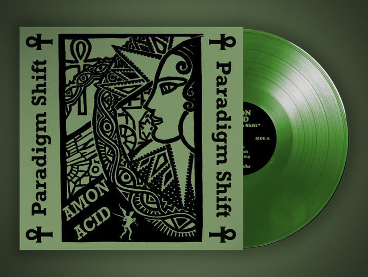 Paradigm Shift | Amon Acid | Regain Records
