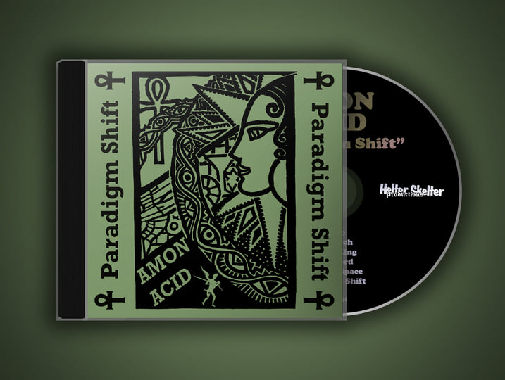 Paradigm Shift | Amon Acid | Regain Records