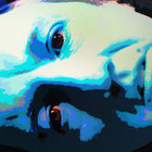garyshowbiz thumbnail