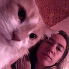 pukology thumbnail