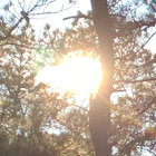 lefthand_path thumbnail