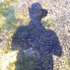 Stephen Ryan thumbnail