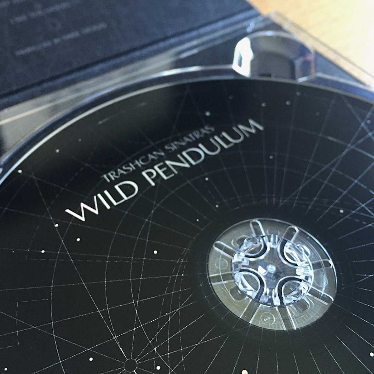 Wild Pendulum | Trashcan Sinatras