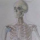 Harald Schall thumbnail