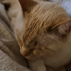 francesco83 thumbnail