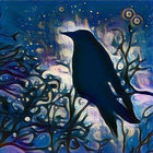 bohemiancrow thumbnail