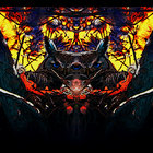 murphyamen thumbnail