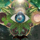 Spiralfractal thumbnail
