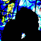bobhaltz thumbnail