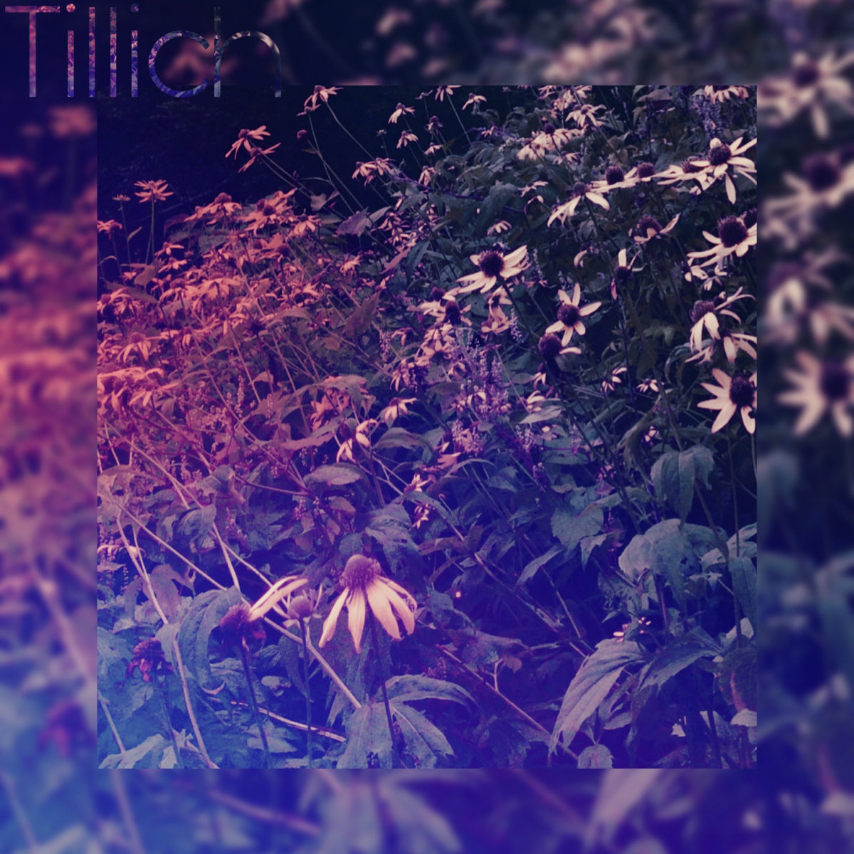 together-forever-tillich