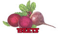 Beets image