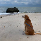 Skerries thumbnail