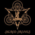 Sacred Grooves image