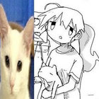 squp thumbnail