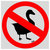 No Goose thumbnail