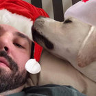 jsreedy thumbnail