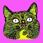 fuzzrite69 thumbnail