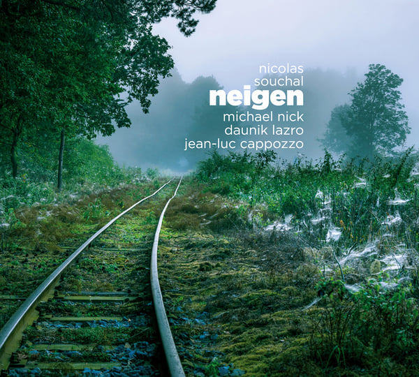 Neigen | Souchal/Nick/Lazro/Cappozzo | Ayler Records