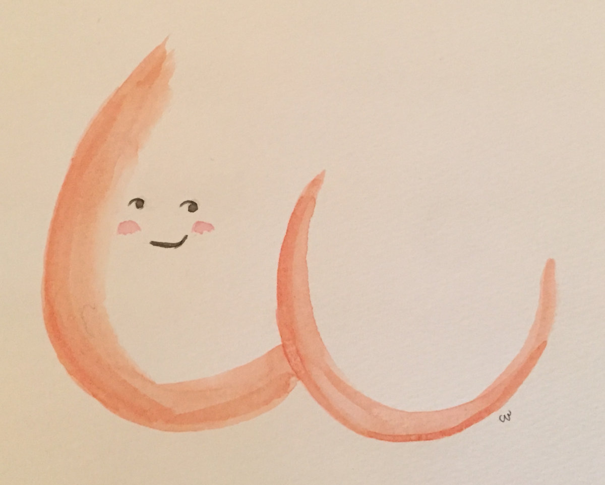 Texas Town Kyle Roberts