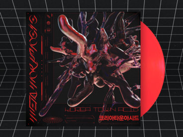 12" Record + Digital Copy main photo