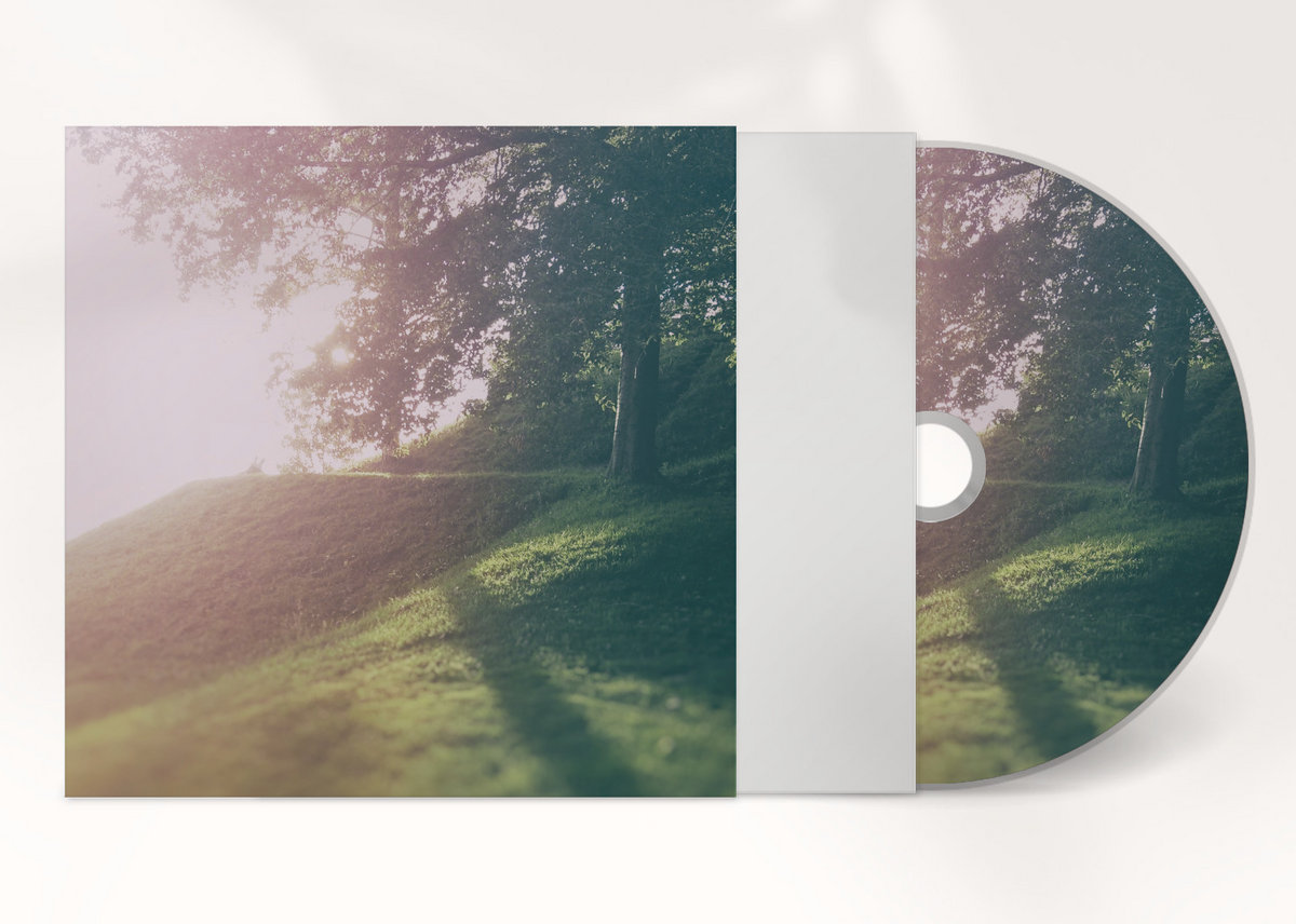 ✨sachi‪ ꪔ̤✨ PSA 10 GEM MINT Pikachu 054/049 CHR SM11B Dream League