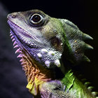 corrupted_reptar thumbnail