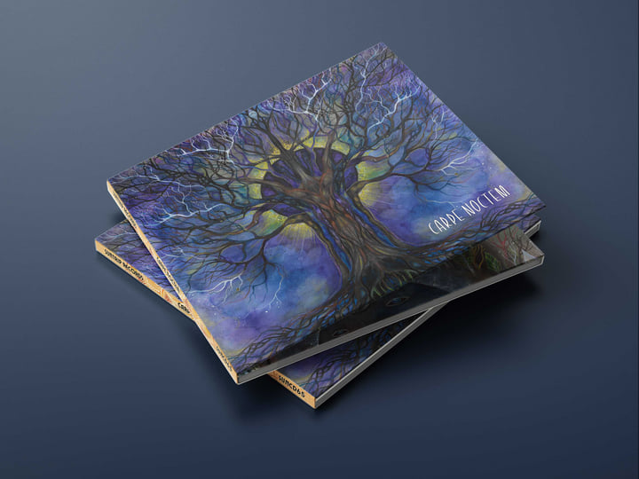 Carpe Noctem | Various Artists | Suntrip Records