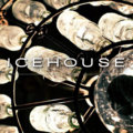Icehouse MPLS image