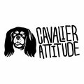 Cavalier Attitude image